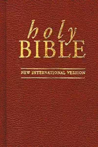 Bible - NIV - God